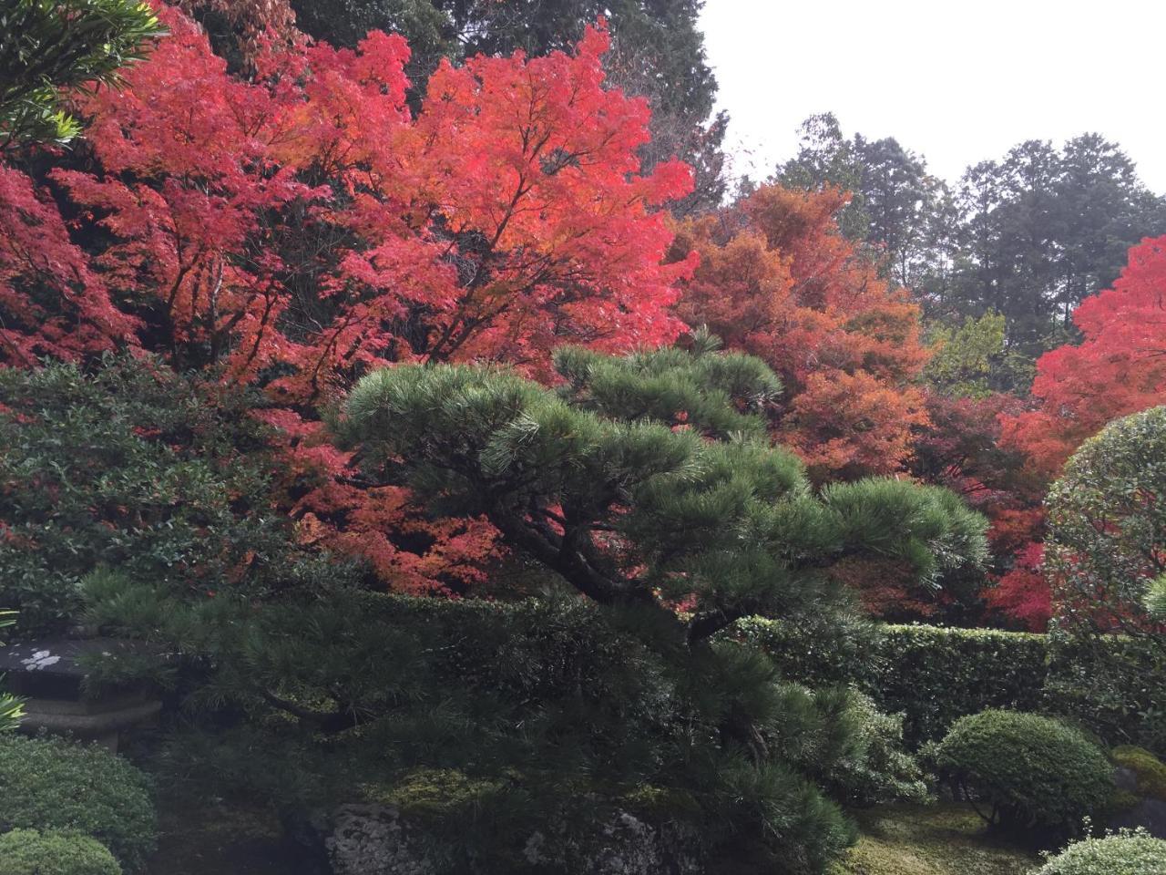Ryokan Yamazaki Kjóto Exteriér fotografie